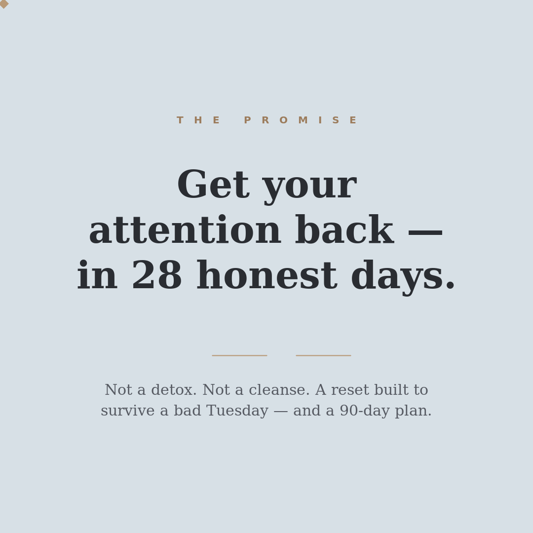 The Screen Reset — 28-Day Attention Workbook