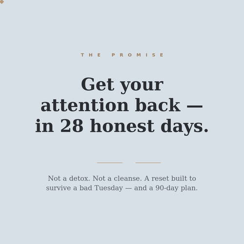The Screen Reset — 28-Day Attention Workbook